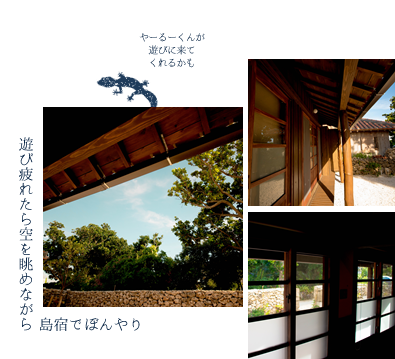 竹富島の宿